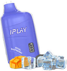 MAYOREO 10 PZ IPLAY VIBAR 6,500 H